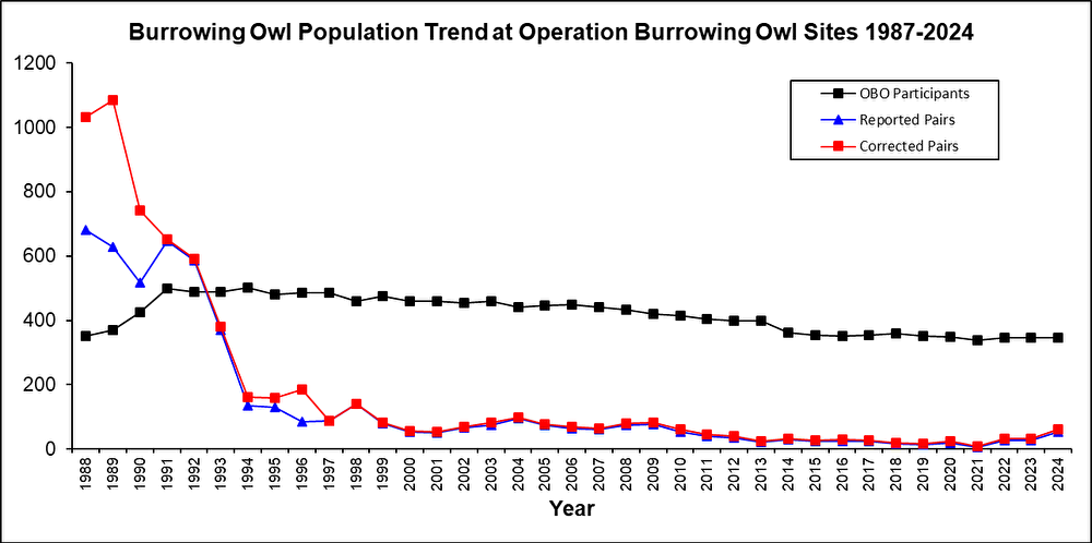 Burrowing Owl Population trend graph 2024