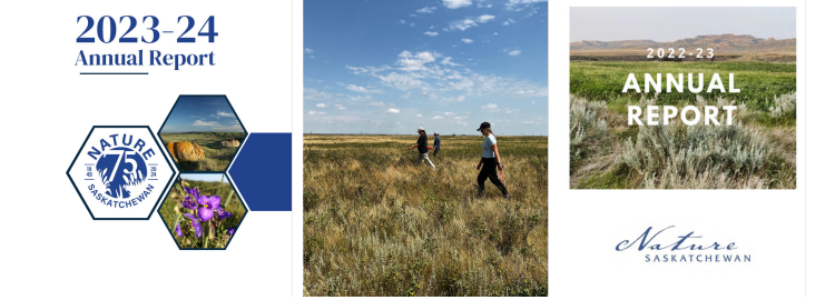 Annual Report cover images