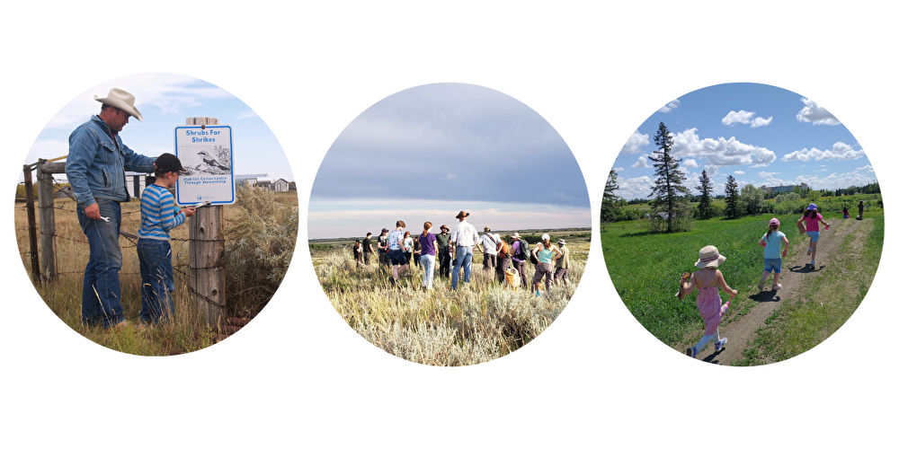 what we go image collage