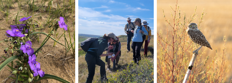 Get to Know Us image