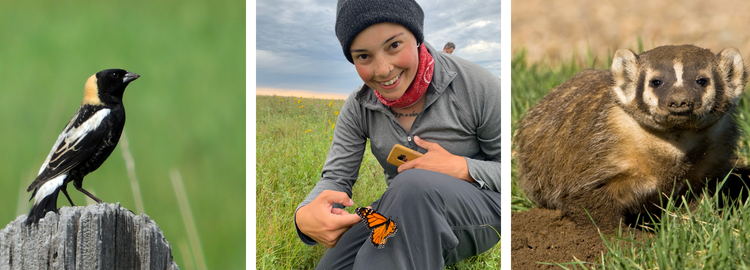 Banner Species image